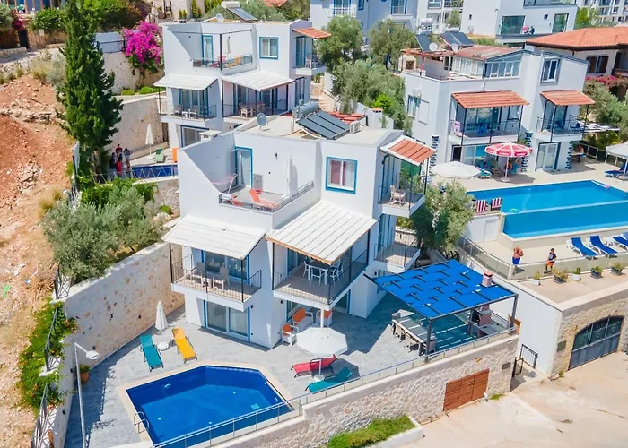 فيلة Tugra كاس