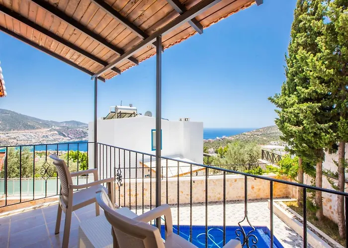 فيلة Tugra كاس