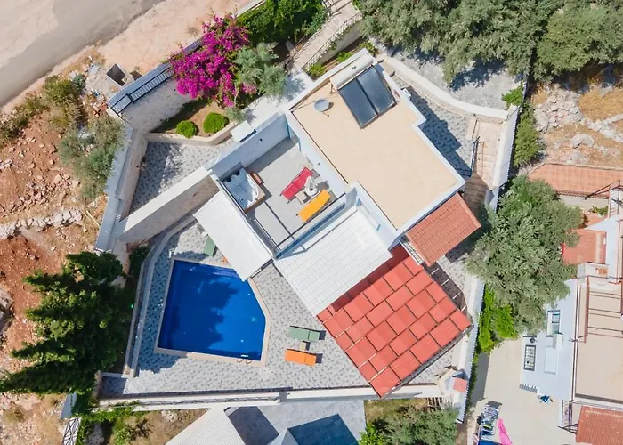 Tugra فيلة كاس